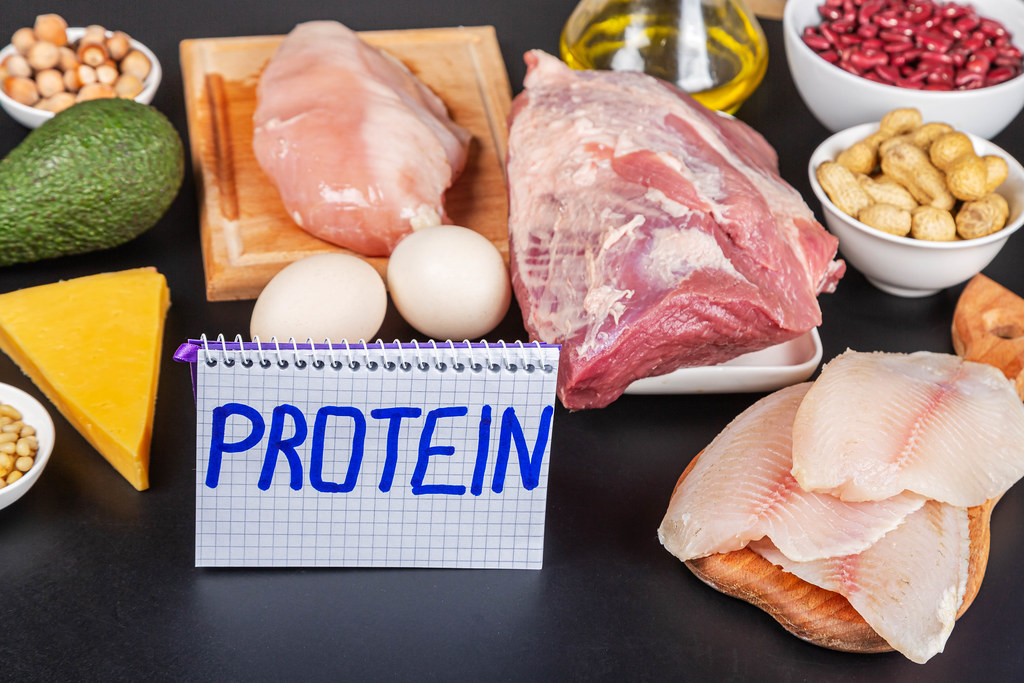 Top 13 High Protein Foods