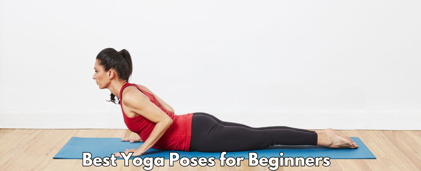 Best Yoga Poses for Beginners