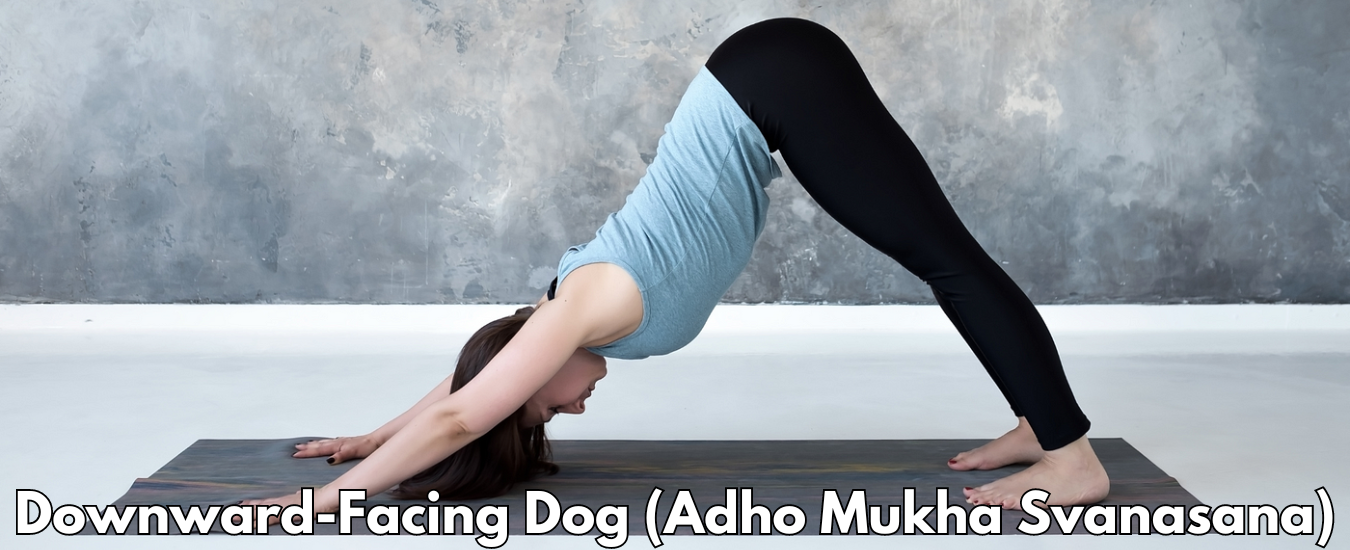 Downward-Facing Dog (Adho Mukha Svanasana)