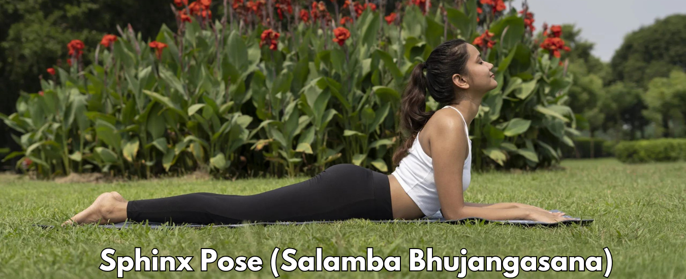 Sphinx Pose (Salamba Bhujangasana)