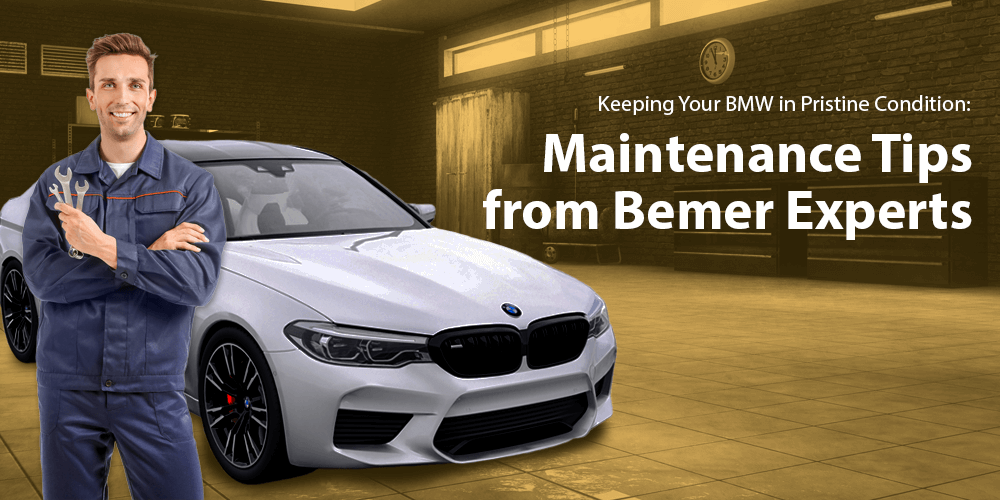 Content image for Maintaining the Pristine Condition of Your Executive Vehicles.