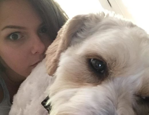 Featured image for RVing with Pets: Tackling Travel Challenges and Ensuring Their Well-being.